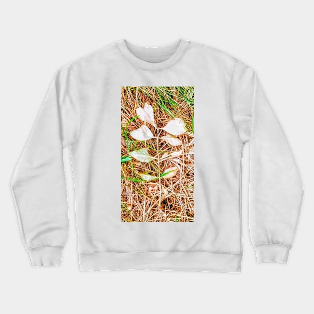 Randoms Cont'd Crewneck Sweatshirt by amararob